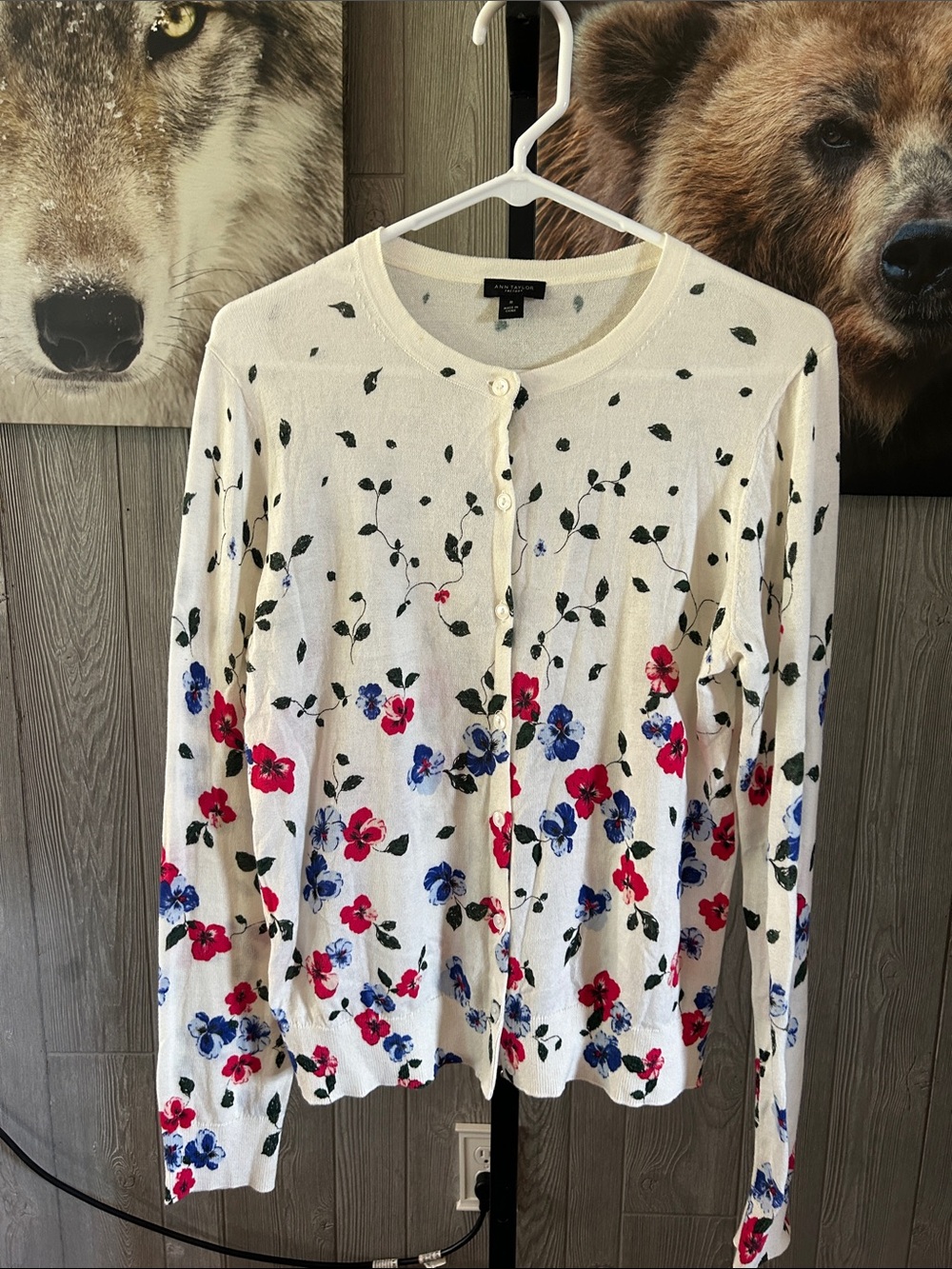 Ann Taylor Sweater